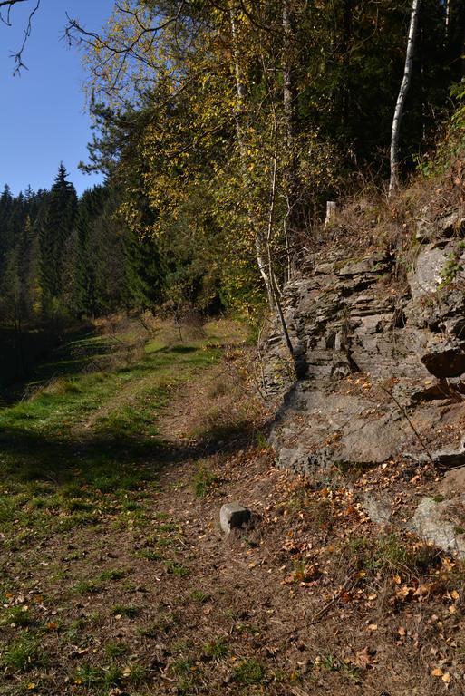 Pension Najdek Žďár nad Sázavou Dış mekan fotoğraf